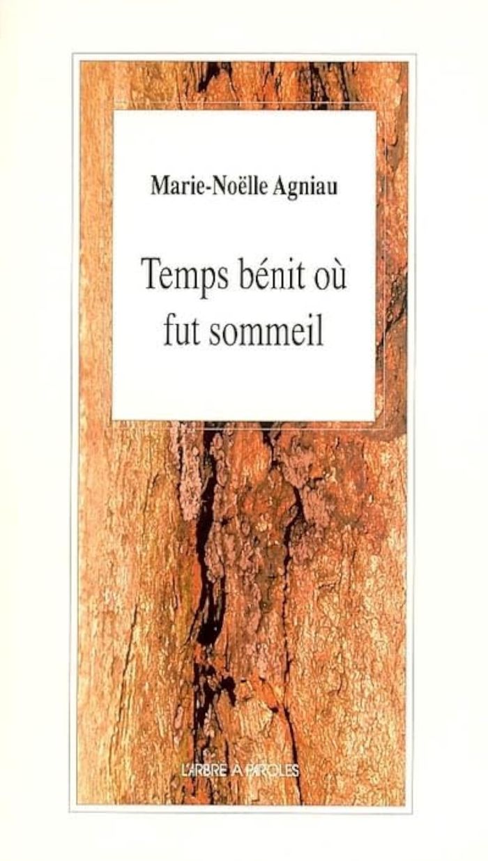 Couverture du livre « TEMPS BENIT OU FUT SOMMEIL » de Marie-Noelle Agniau, librairie Les Contes Infusés à Corte
