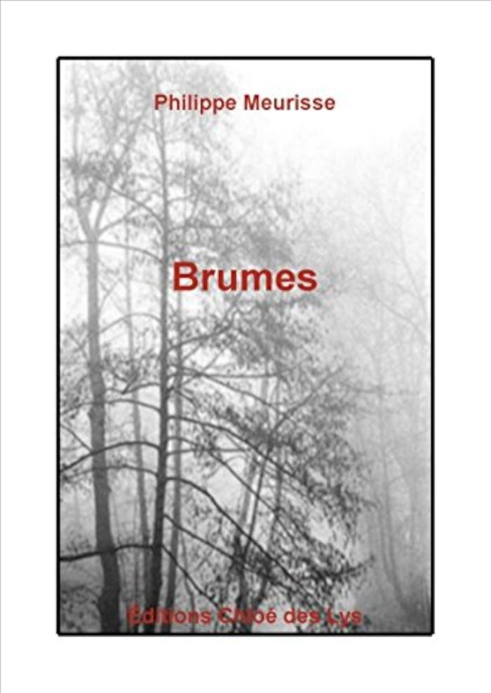 Couverture du livre « BRUMES » de Philippe Meurisse, librairie Les Contes Infusés à Corte