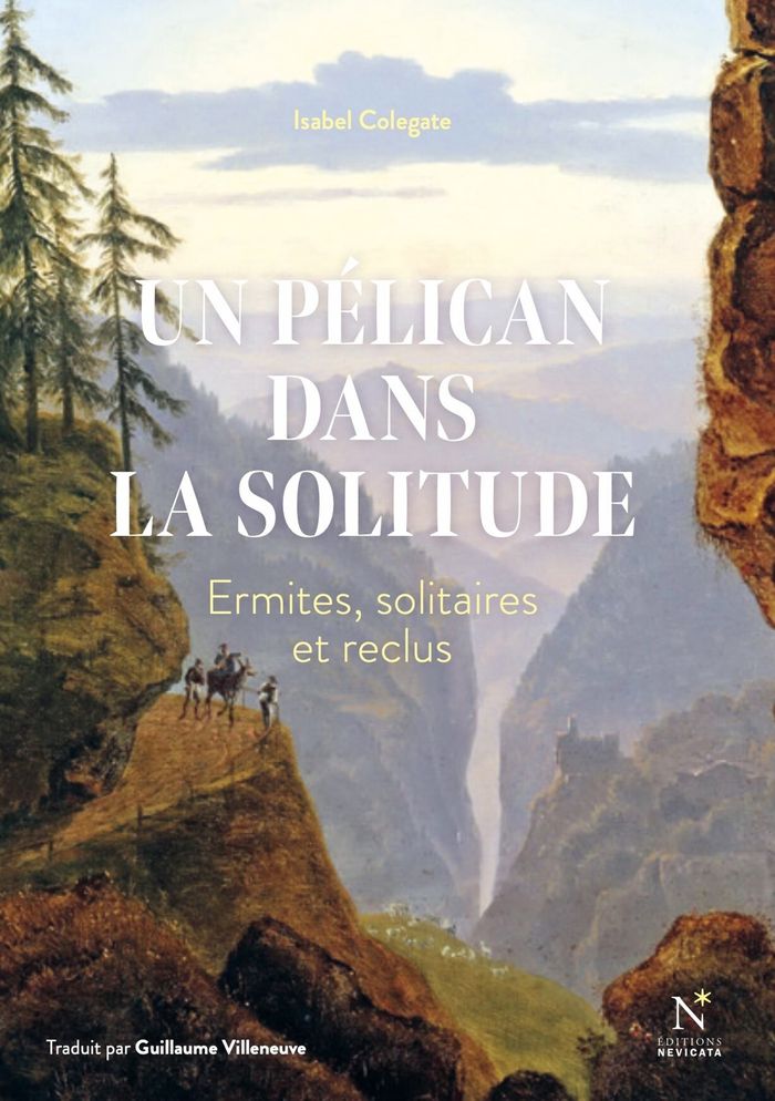 Couverture du livre « UN PELICAN DANS LA SOLITUDE », librairie Les Contes Infusés à Corte