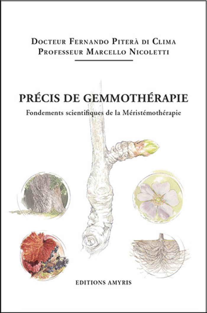 Couverture du livre « PRECIS DE GEMMOTHERAPIE - FONDEMENTS SCIENTIFIQUES DE LA MERISTEMOTHERAPIE » de F. Pitera Di Clima, librairie Les Contes Infusés à Corte