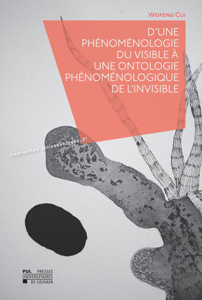 Couverture du livre « D'UNE PHENOMENOLOGIE DU VISIBLE A UNE ONTOLOGIE PHENOMENOLOGIQUE DE L'INVISIBLE » de Weifeng Cui, librairie Les Contes Infusés à Corte