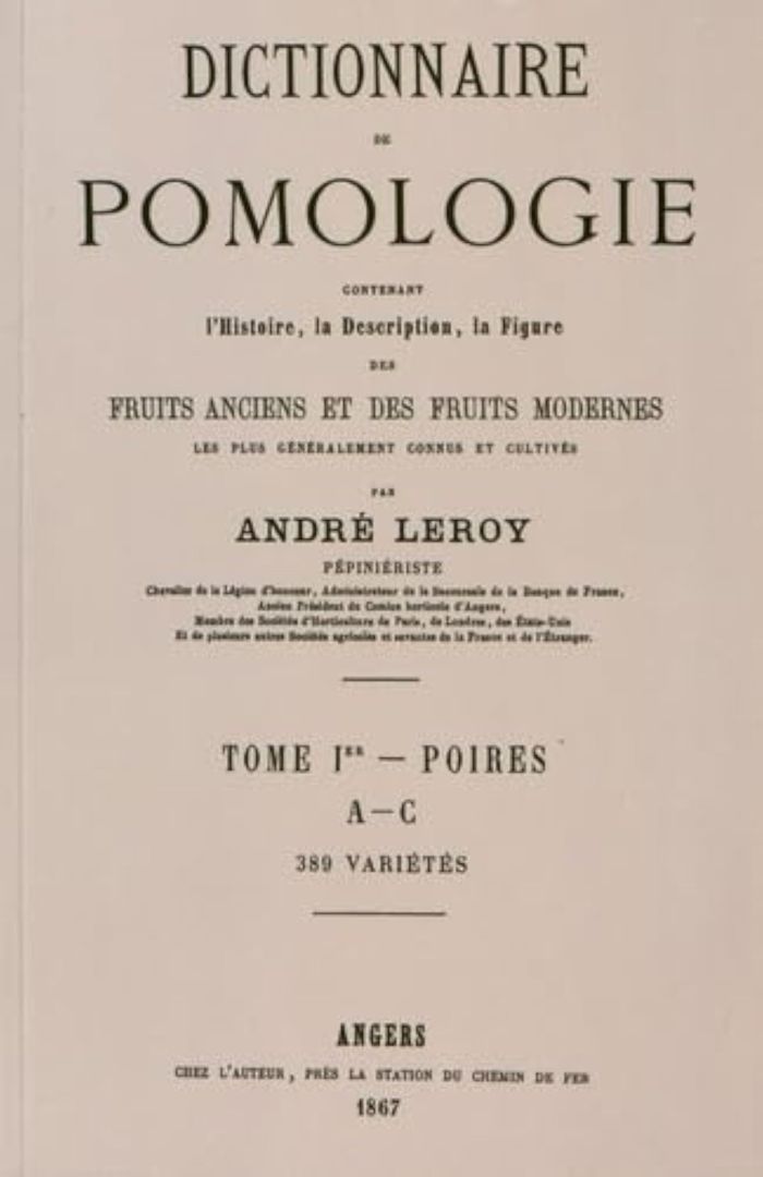 Couverture du livre « DICTIONNAIRE DE POMOLOGIE TOME 1 - POIRES » de Leroy Andre, librairie Les Contes Infusés à Corte