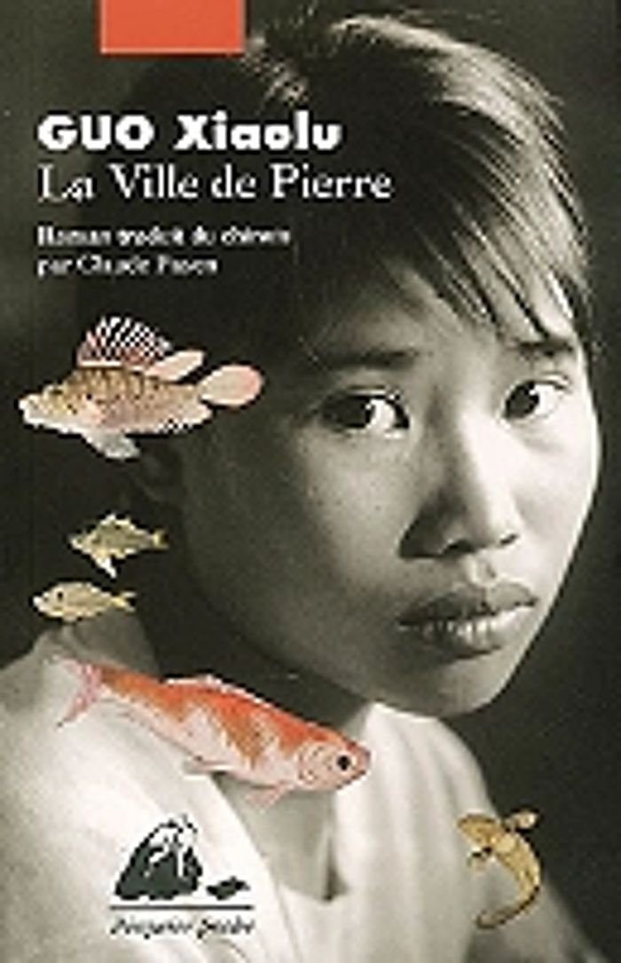 Couverture du livre « LA VILLE DE PIERRE », librairie Les Contes Infusés à Corte