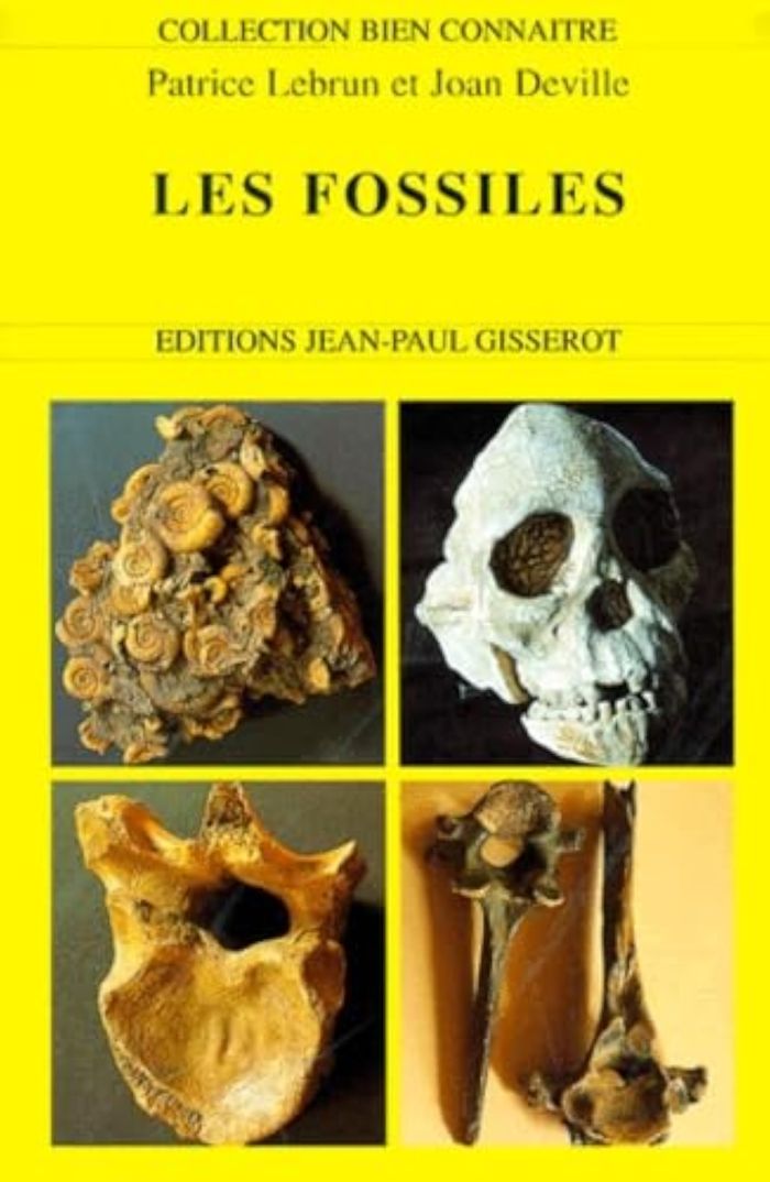 Couverture du livre « LES FOSSILES » de Collectif, librairie Les Contes Infusés à Corte
