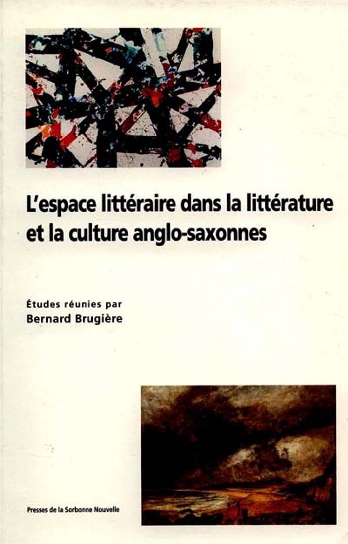 Couverture du livre « L'ESPACE LITTERAIRE DANS LA LITTERATURE ET LA CULTURE ANGO-SAXONNES » de Bernard Brugiere, librairie Les Contes Infusés à Corte