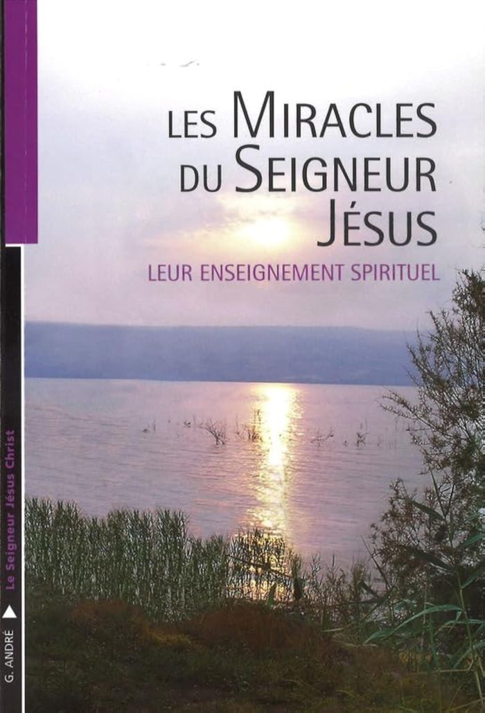 Couverture du livre « LES MIRACLES DU SEIGNEUR JESUS » de Georges Andre, librairie Les Contes Infusés à Corte
