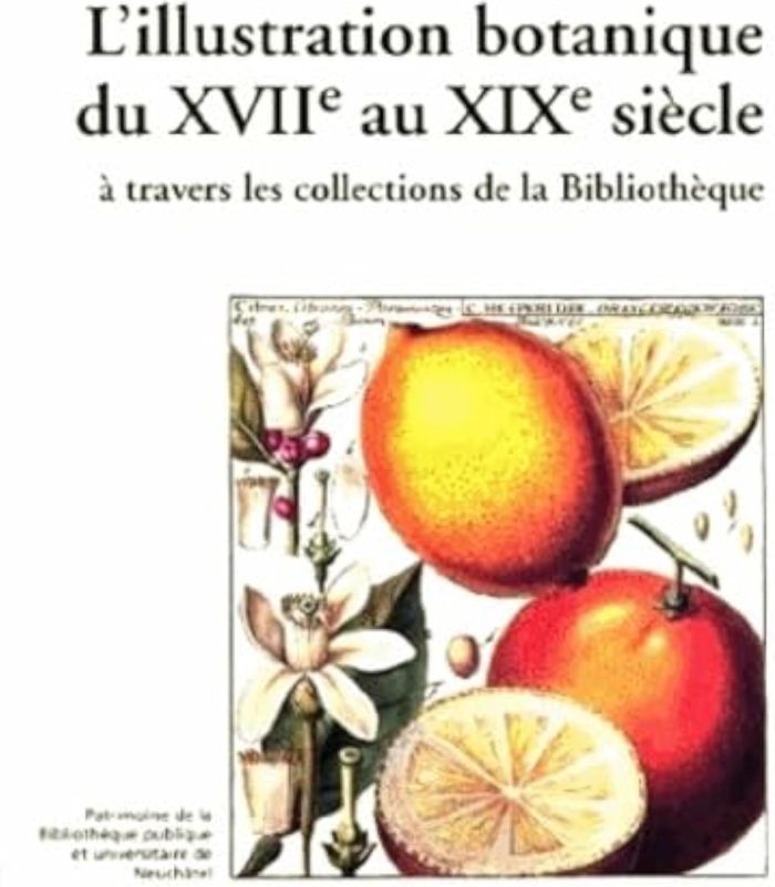 Couverture du livre « L'ILLUSTRATION BOTANIQUE DU XVIIE AU XIXE SIECLE A TRAVERS LES COLLECTIONS DE LA BIBLIOTHEQUE » de Michel Schlup, librairie Les Contes Infusés à Corte