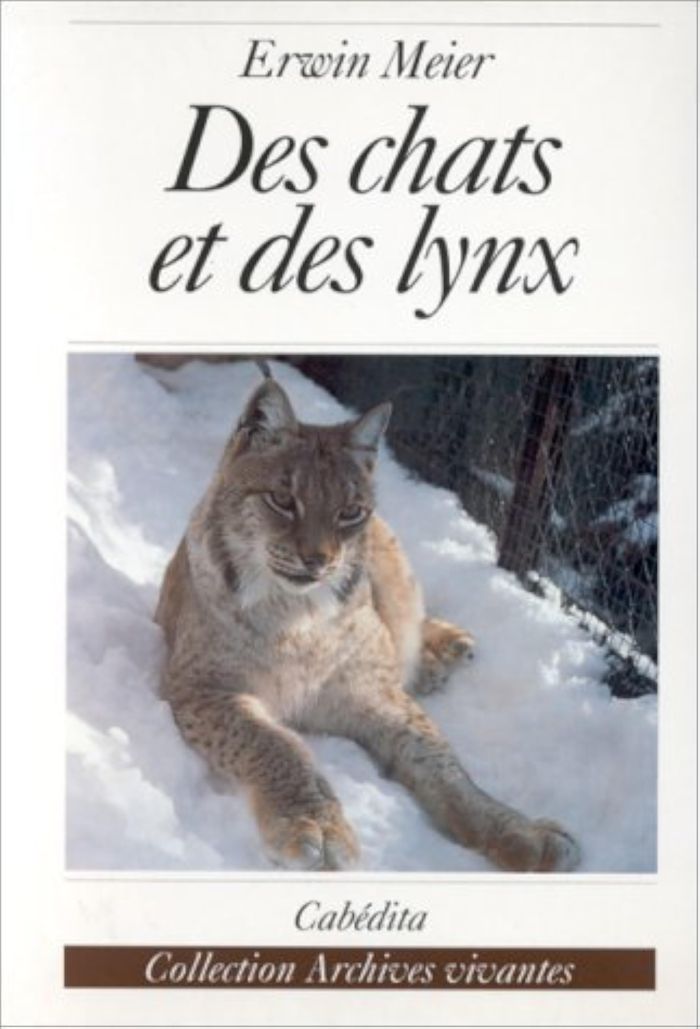Couverture du livre « DES CHATS ET DES LYNX » de Meier/erwin, librairie Les Contes Infusés à Corte