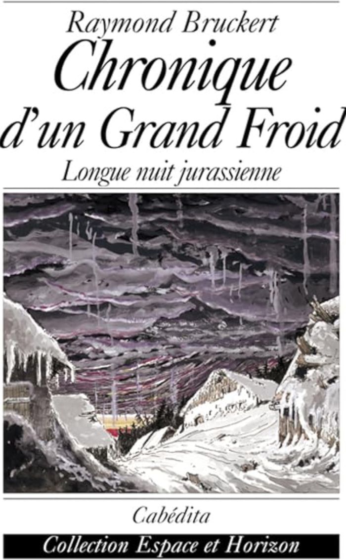 Couverture du livre « CHRONIQUE D'UN GRAND FROID » de Bruckert/raymond, librairie Les Contes Infusés à Corte