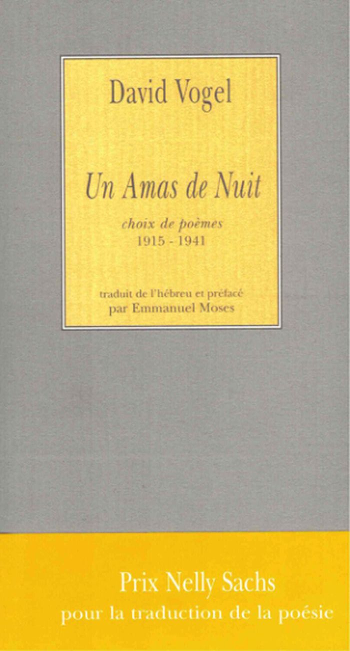 Couverture du livre « UN AMAS DE NUIT » de David Vogel, librairie Les Contes Infusés à Corte