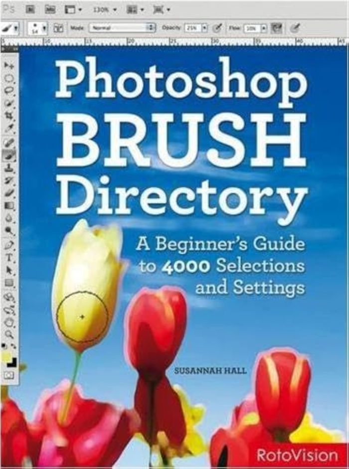 Couverture du livre « PHOTOSHOP BRUSH DIRECTORY /ANGLAIS » de Susannah Hall, librairie Les Contes Infusés à Corte