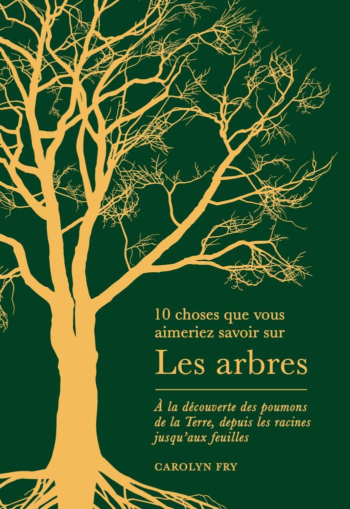 Couverture du livre « 10 CHOSES QUE VOUS AIMERIEZ SAVOIR SUR LES ARBRES - A LA DECOUVERTE DES POUMONS DE LA TERRE, DEPUIS » de Carolyn Fry, librairie Les Contes Infusés à Corte