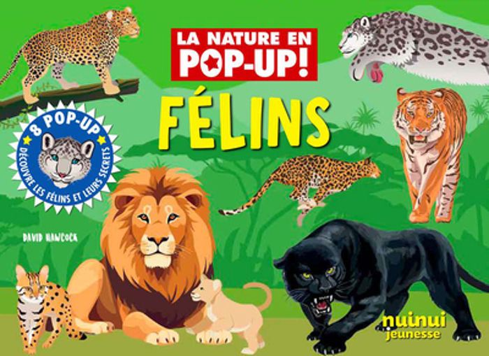 Couverture du livre « Félins » de David Hawcock, librairie Les Contes Infusés à Corte