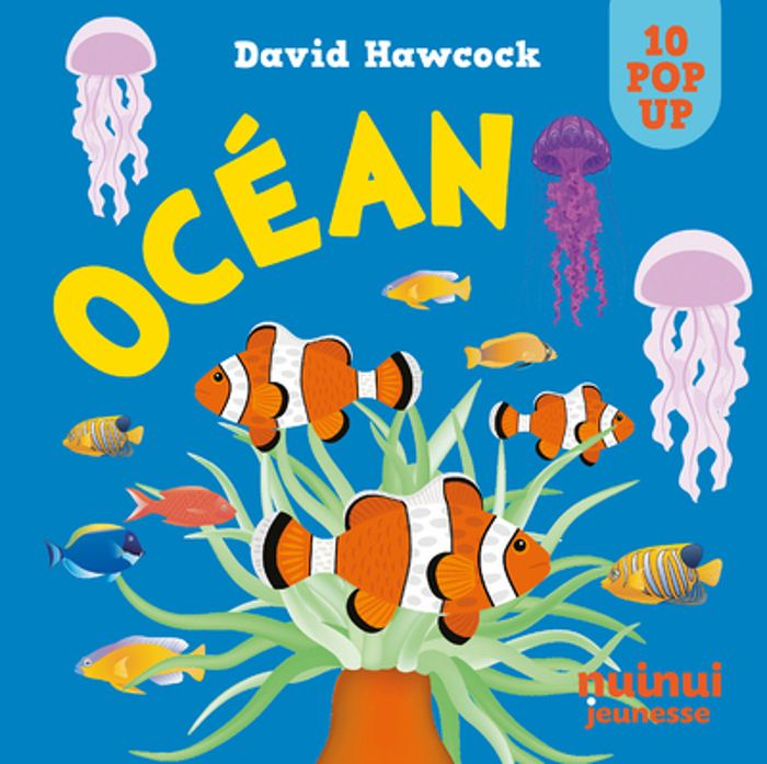 Couverture du livre « Océan » de David Hawcock, librairie Les Contes Infusés à Corte