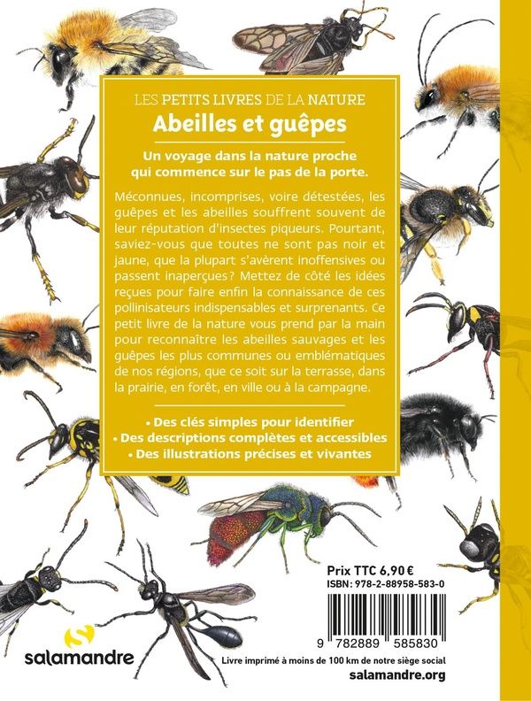 Quatrième de couverture de « Abeilles et guêpes »