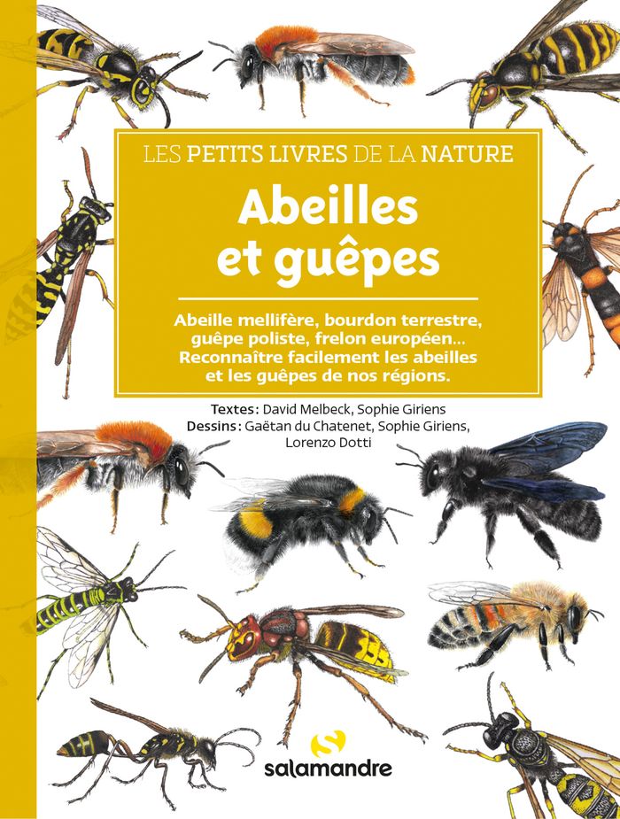 Couverture du livre « Abeilles et guêpes » de David Melbeck, librairie Les Contes Infusés à Corte