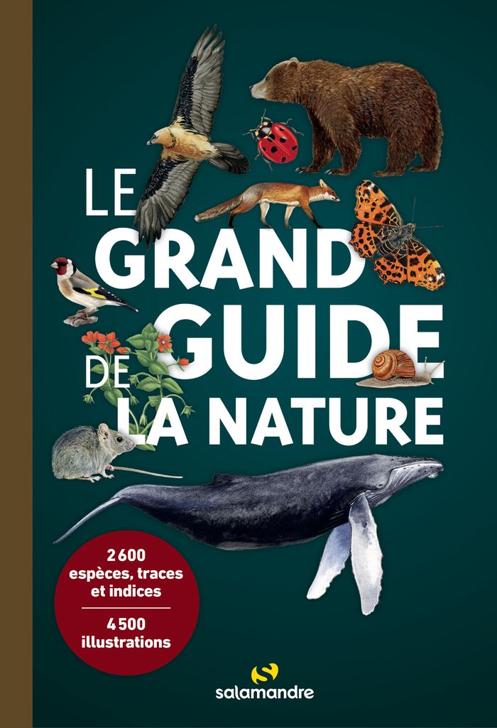 Couverture du livre « LE GRAND GUIDE DE LA NATURE » de Collectif, librairie Les Contes Infusés à Corte