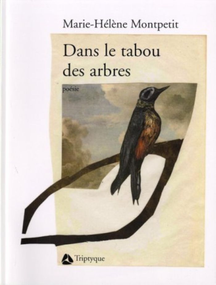 Couverture du livre « DANS LE TABOU DES ARBRES », librairie Les Contes Infusés à Corte