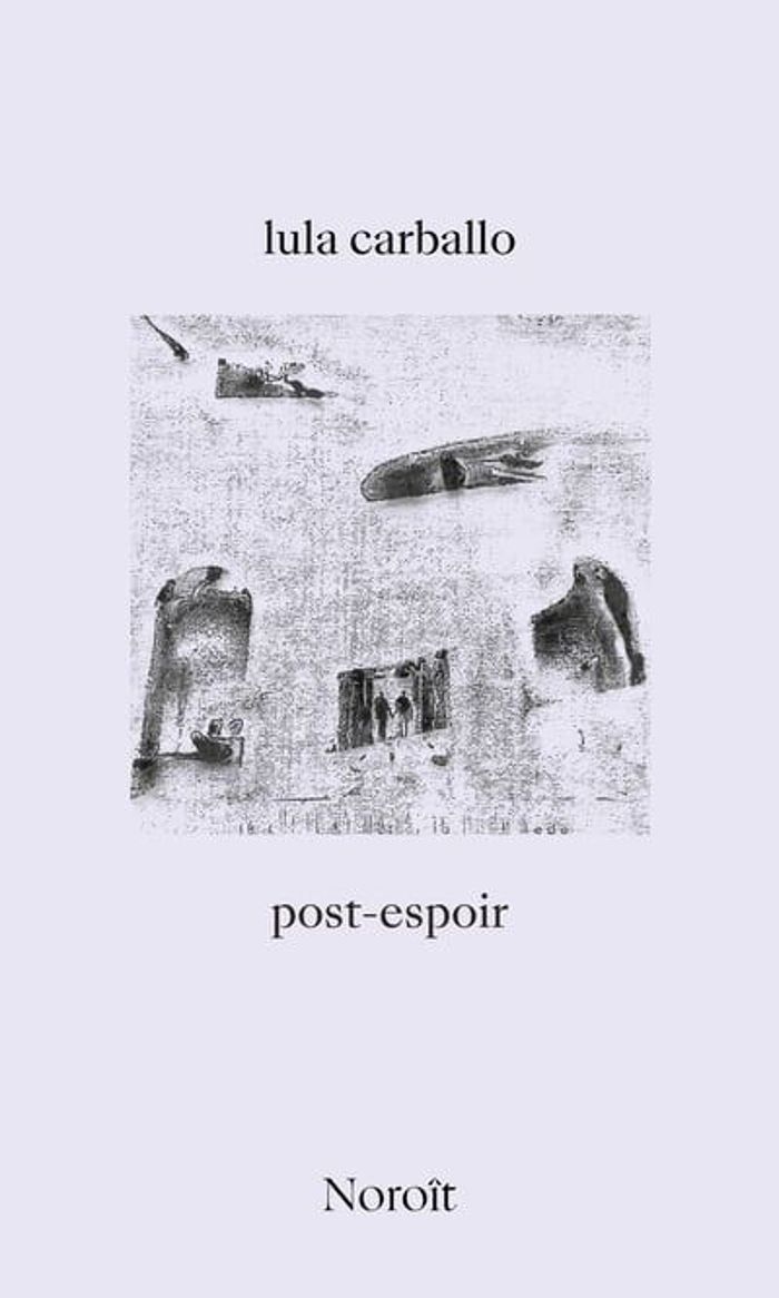 Couverture du livre « POST-ESPOIR », librairie Les Contes Infusés à Corte
