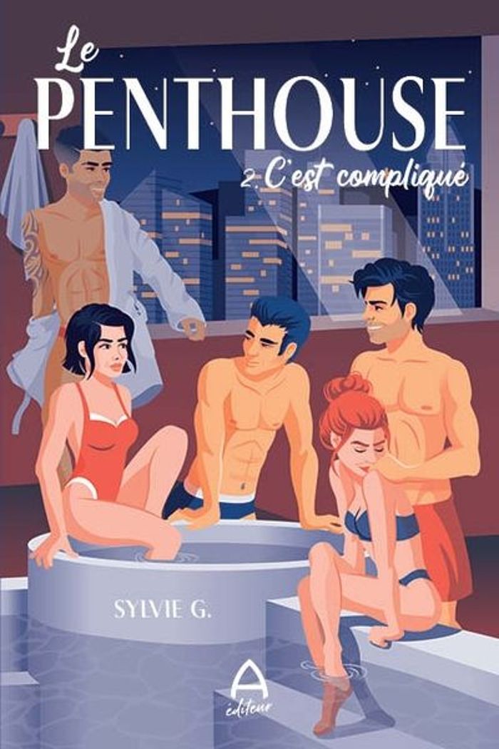 Couverture du livre « LE PENTHOUSE V 02 C'EST COMPLIQUE » de Sylvie G., librairie Les Contes Infusés à Corte