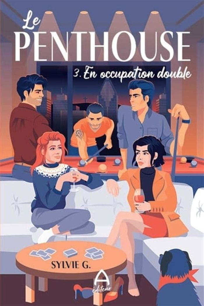 Couverture du livre « LE PENTHOUSE V 03 EN OCCUPATION DOUBLE » de Sylvie G., librairie Les Contes Infusés à Corte