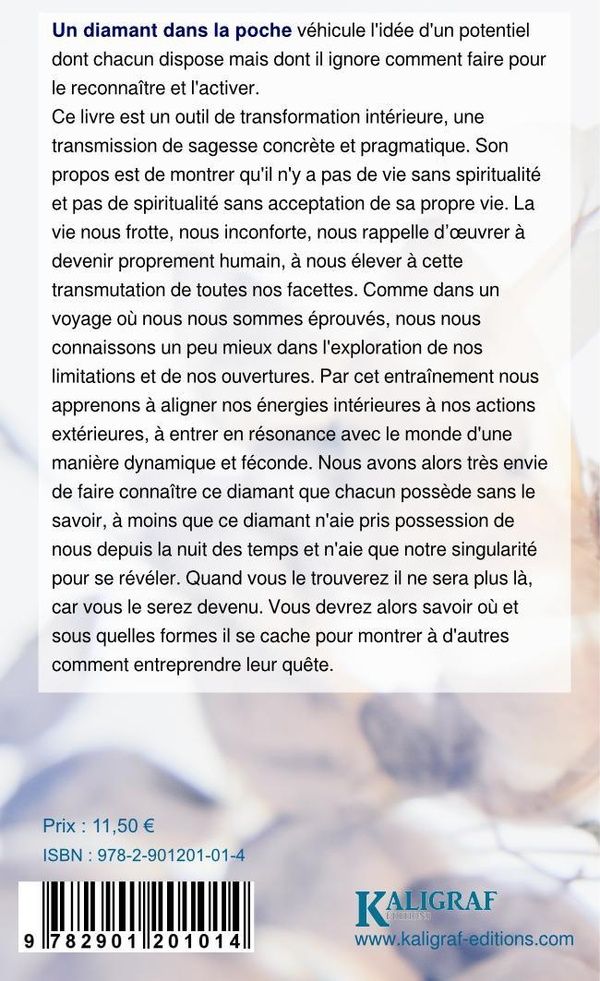 Quatrième de couverture de « UN DIAMANT DANS LA POCHE - 2DE EDITION - EDITION DE POCHE »