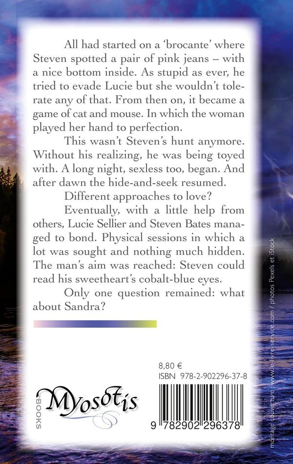 Quatrième de couverture de « Awoken sapphires »