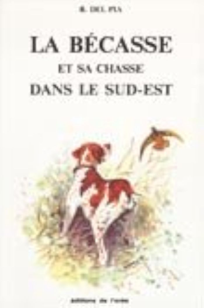 Couverture du livre « LA BECASSE ET SA CHASSE DANS LE SUD-EST » de Pia Robert Del, librairie Les Contes Infusés à Corte