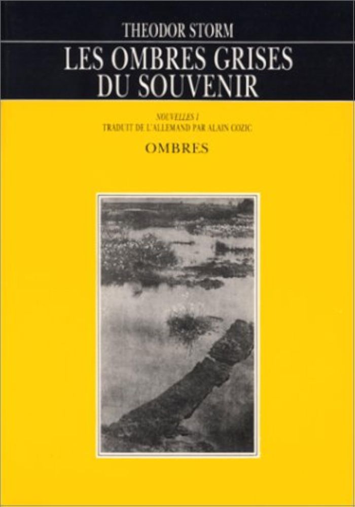 Couverture du livre « LES OMBRES GRISES DU SOUVENIR », librairie Les Contes Infusés à Corte