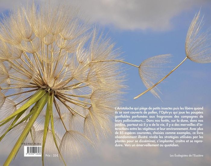 Quatrième de couverture de « STRATEGIES VEGETALES, PETITS ARRANGEMENTS ET GRANDES MANOEUVRES »