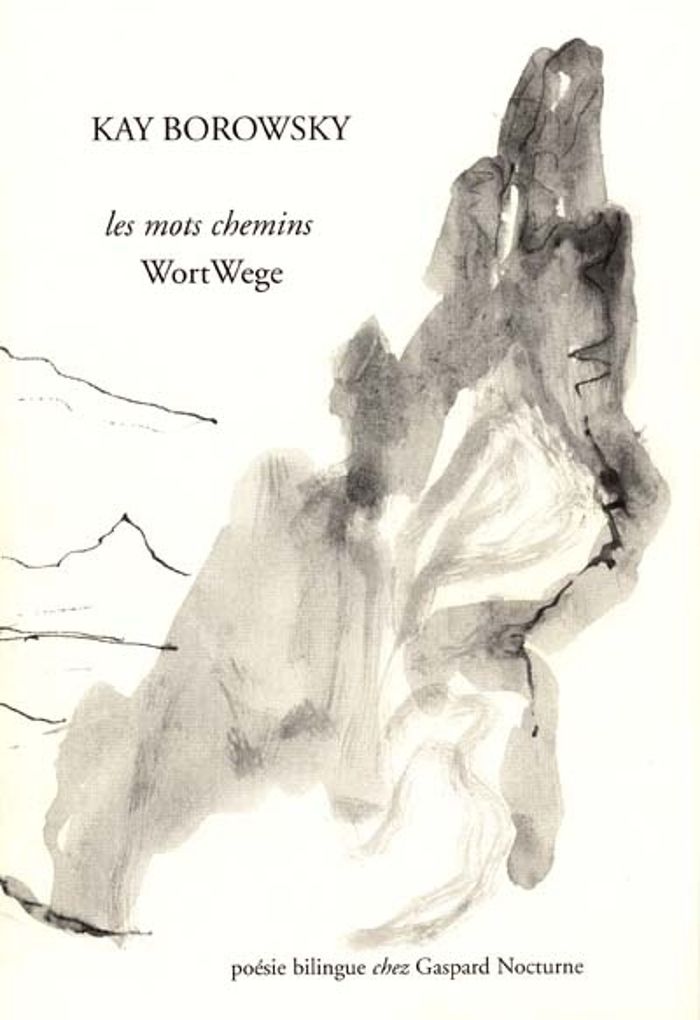 Couverture du livre « REPRESENTATION ET DECISION EXPERTE : PSYCHOLOGIE COGNITIVE DE LA DECISION CHEZ LES AIGUILLEURS DU CI » de Andre Bisseret, librairie Les Contes Infusés à Corte