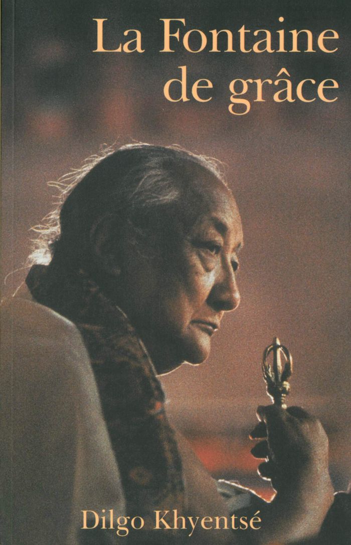 Couverture du livre « LA FONTAINE DE GRACE » de Dilgo Khyentse, librairie Les Contes Infusés à Corte