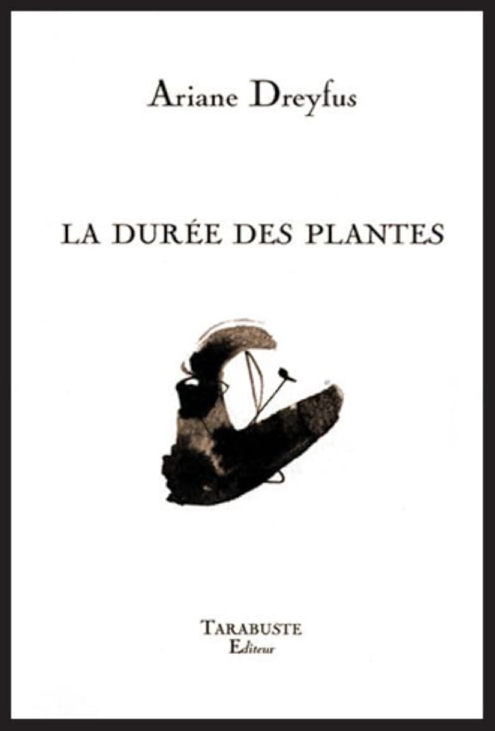 Couverture du livre « LA DUREE DES PLANTES - ARIANE DREYFUS » de Ariane Dreyfus, librairie Les Contes Infusés à Corte