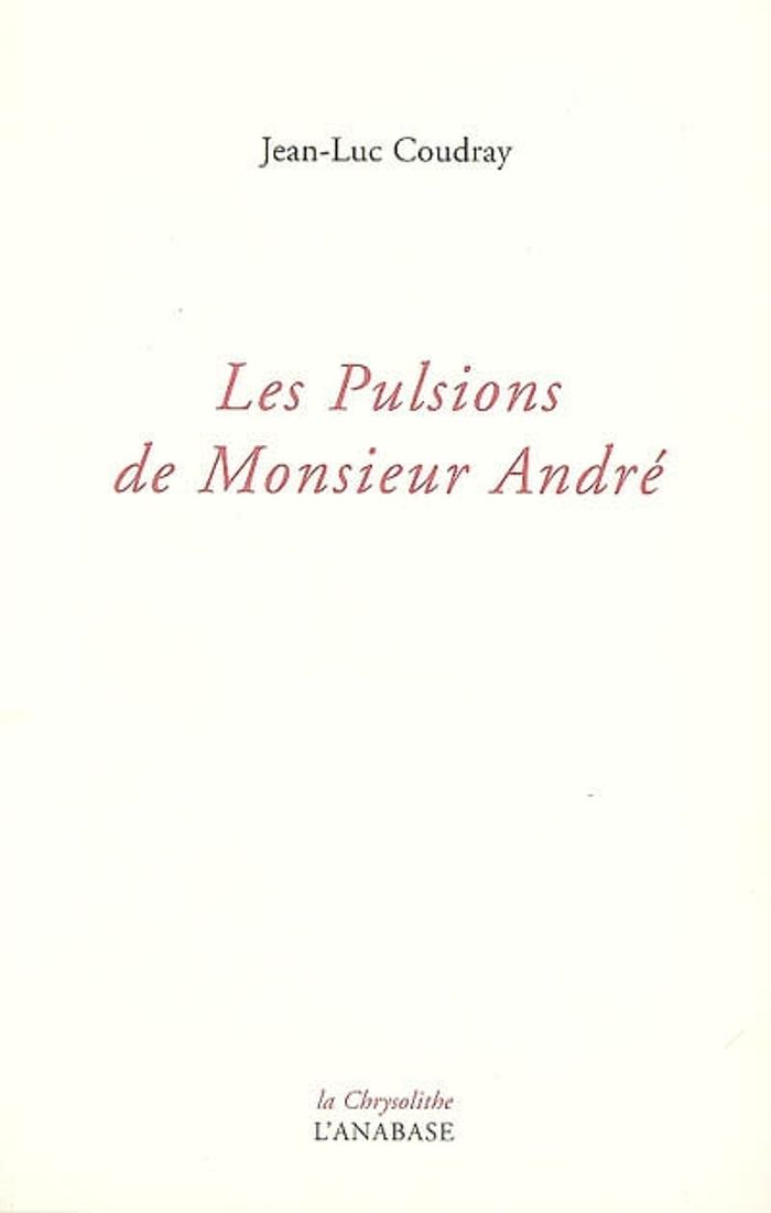 Couverture du livre « LES PULSIONS DE MONSIEUR ANDRE » de Luc Coudray Jean, librairie Les Contes Infusés à Corte