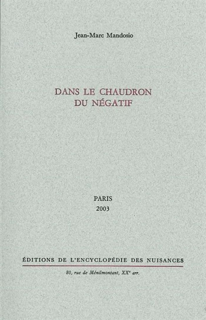 Couverture du livre « DANS LE CHAUDRON DU NEGATIF » de Jean-Marc Mandosio, librairie Les Contes Infusés à Corte