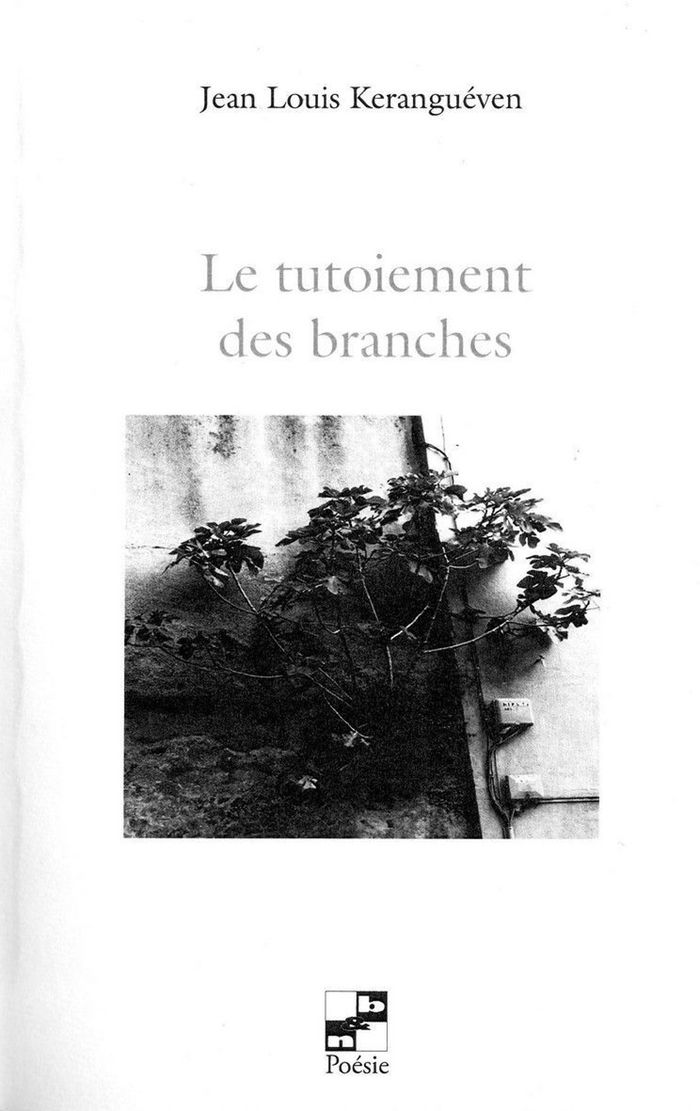 Couverture du livre « LE TUTOIEMENT DES BRANCHES » de Jean Louis Keranguev, librairie Les Contes Infusés à Corte