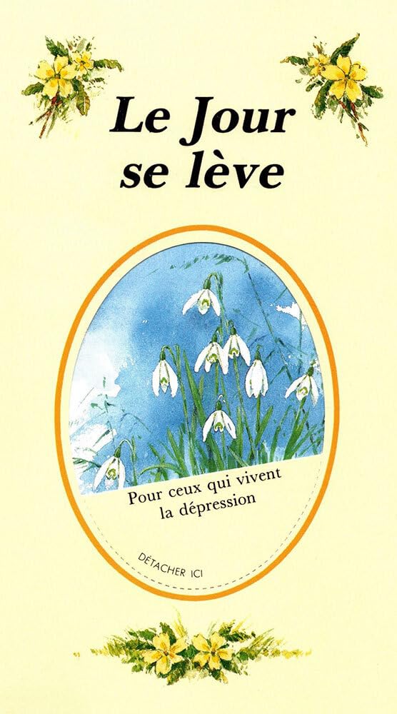 Couverture du livre « LE JOUR SE LEVE - POUR CEUX QUI VIVENT LA DEPRESSION » de Hathaway Mary, librairie Les Contes Infusés à Corte