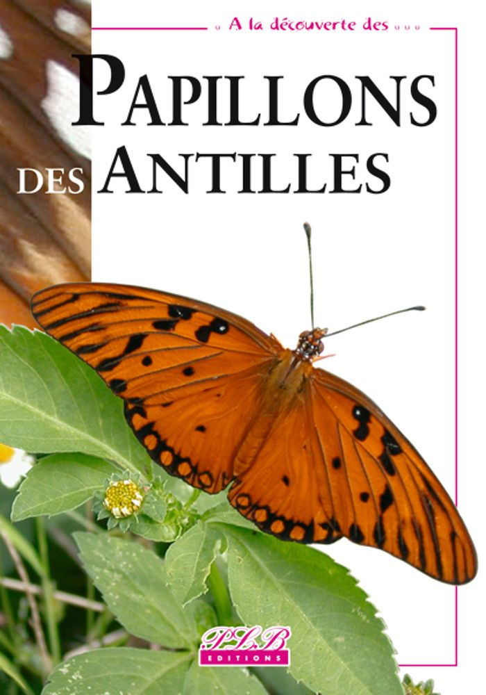 Couverture du livre « PAPILLONS DE JOUR DES ANTILLES FRANCAISES », librairie Les Contes Infusés à Corte