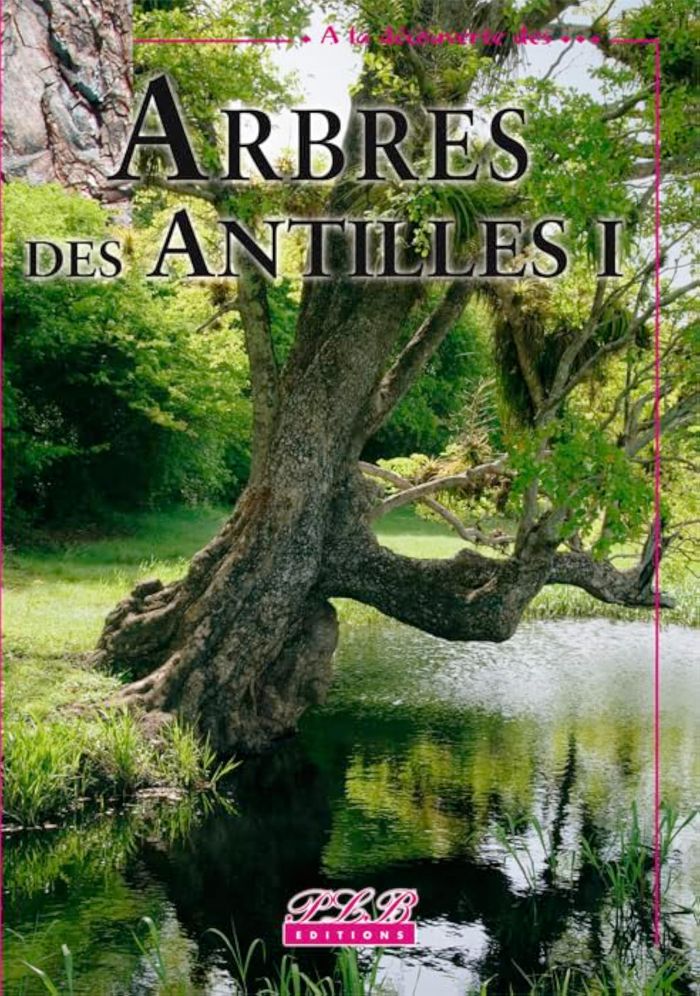 Couverture du livre « ARBRES DES ANTILLES - T01 - ARBRES INDIGENES DES ANTILLES » de Jacques Portecop, librairie Les Contes Infusés à Corte