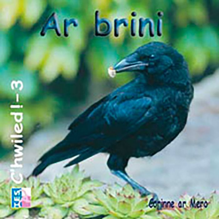 Couverture du livre « AR BRINI », librairie Les Contes Infusés à Corte