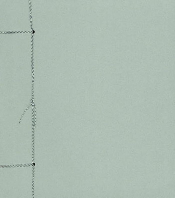 Couverture du livre « MODELE VIVANT » de Vazemsky Dimitri, librairie Les Contes Infusés à Corte