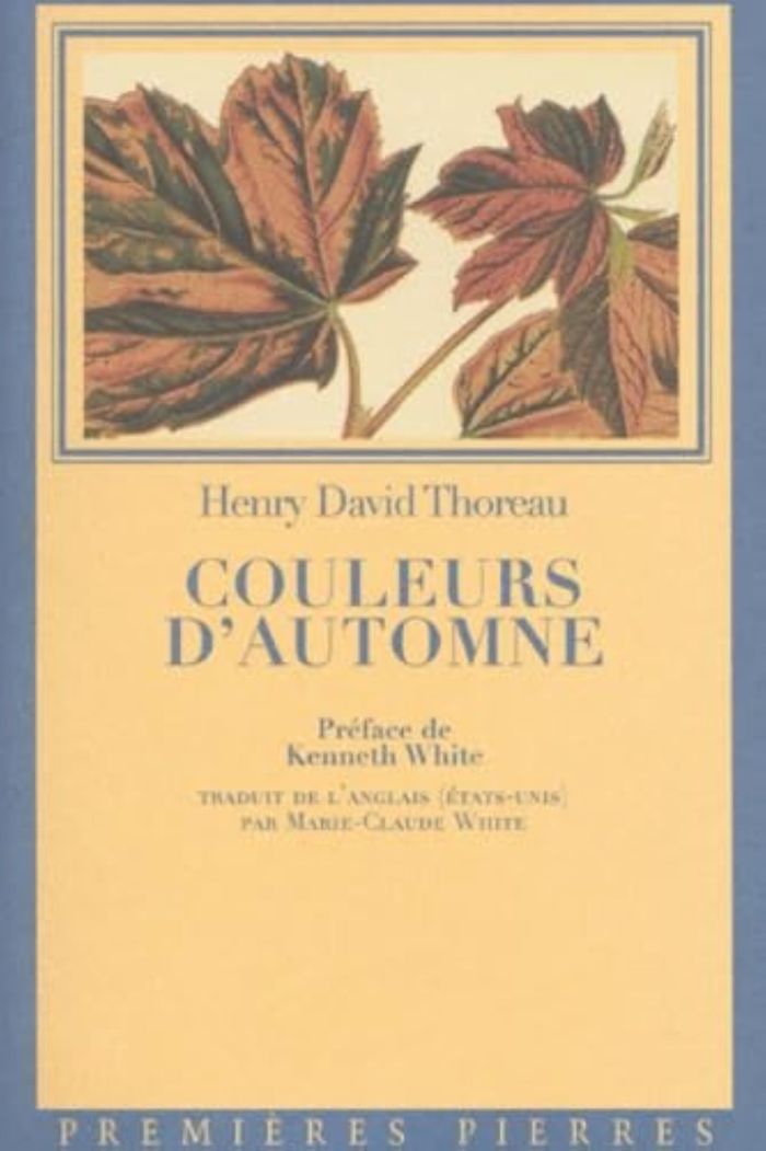 Couverture du livre « COULEUR D AUTOMNE » de Thoreau, librairie Les Contes Infusés à Corte