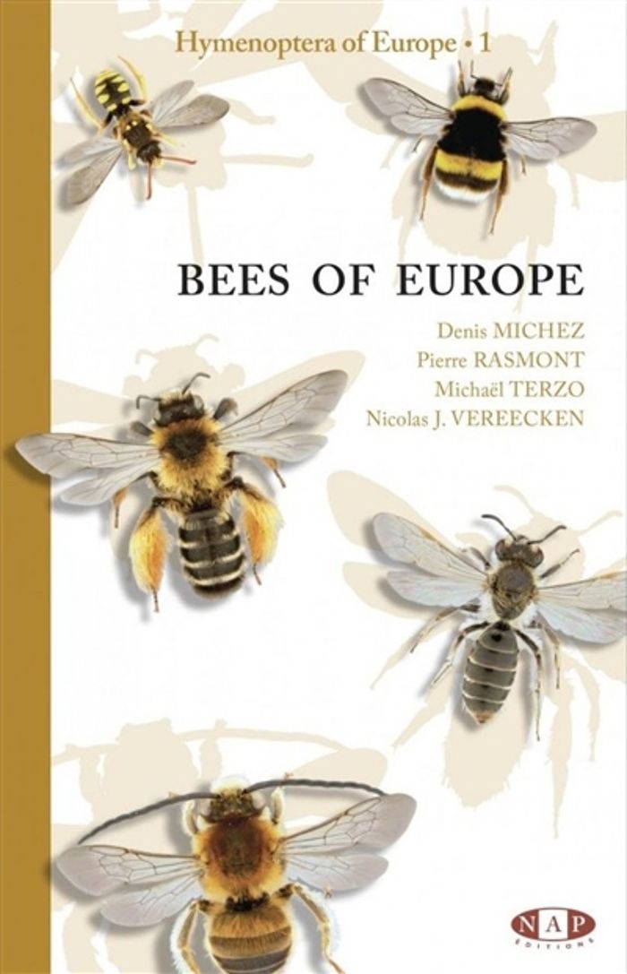 Couverture du livre « BEES OF EUROPE - HYMENOPTERA OF EUROPE 1 », librairie Les Contes Infusés à Corte