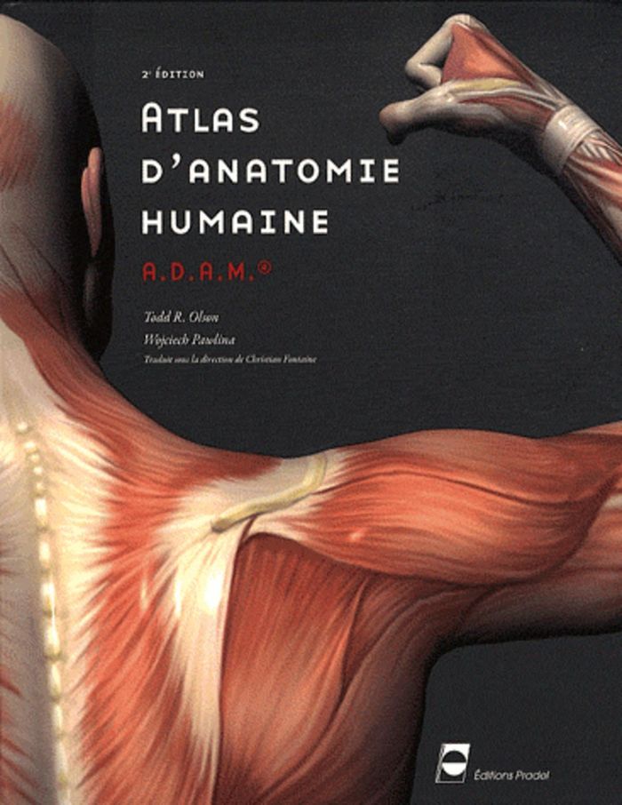 Couverture du livre « ATLAS D'ANATOMIE HUMAINE A.D.A.M. - 2EME EDITION - PAES - PRMIERE ANNEE DES ETUDES DE SANTE. » de Olson/pawlina, librairie Les Contes Infusés à Corte