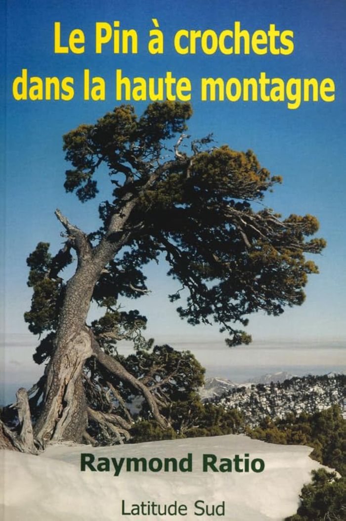 Couverture du livre « LE PIN A CROCHETS DANS LA HAUTE MONTAGNE », librairie Les Contes Infusés à Corte