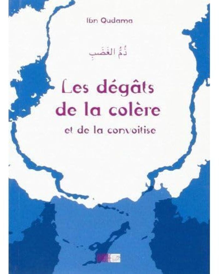 Couverture du livre « LES DEGATS DE LA COLERE ET DE LA CONVOITISE », librairie Les Contes Infusés à Corte