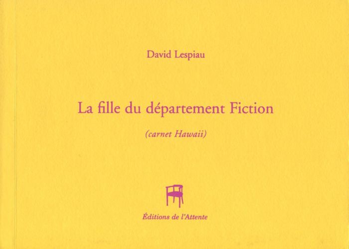 Couverture du livre « LA FILLE DU DEPARTEMENT FICTION - CARNET HAWAII », librairie Les Contes Infusés à Corte