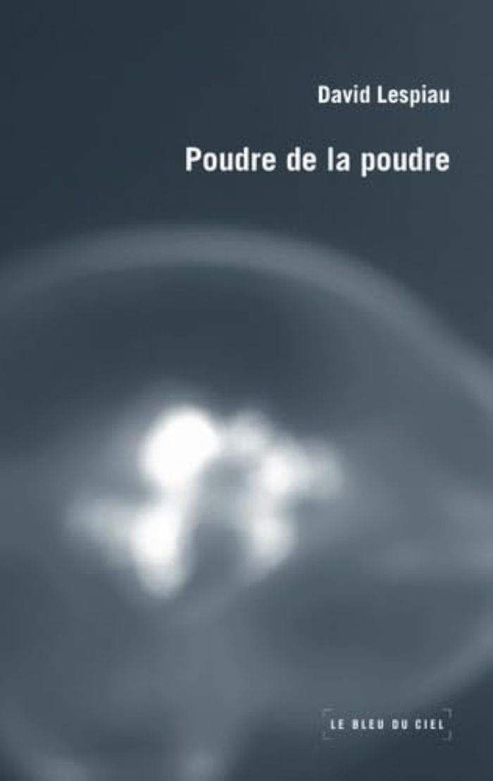 Couverture du livre « POUDRE DE LA POUDRE » de David Lespiau, librairie Les Contes Infusés à Corte