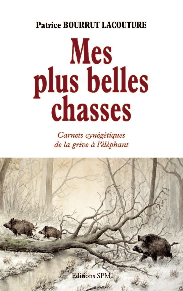 Couverture du livre « MES PLUS BELLES CHASSES - CARNETS CYNEGETIQUES DE LA GRIVE A L'ELEPHANT » de Bourrut Lacouture P., librairie Les Contes Infusés à Corte