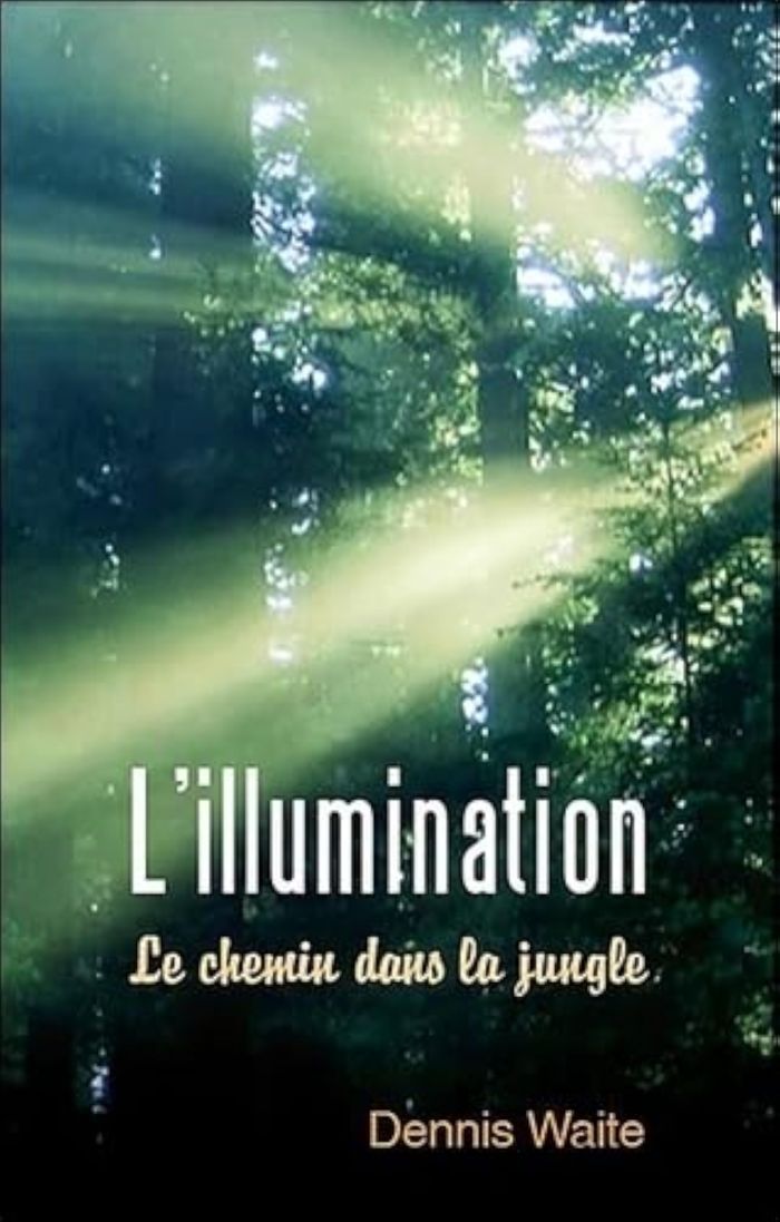 Couverture du livre « L'ILLUMINATION : LE CHEMIN DANS LA JUNGLE » de Dennis Waite, librairie Les Contes Infusés à Corte